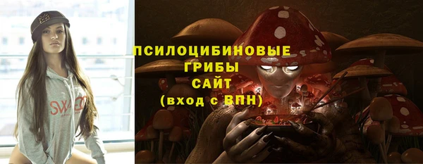 твердый Абаза
