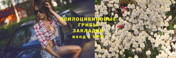 прущие крисы Абинск