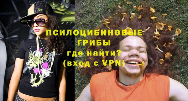 прущие крисы Абинск