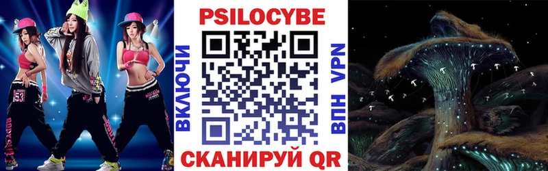 Псилоцибиновые грибы Psilocybe  продажа наркотиков  Поворино 
